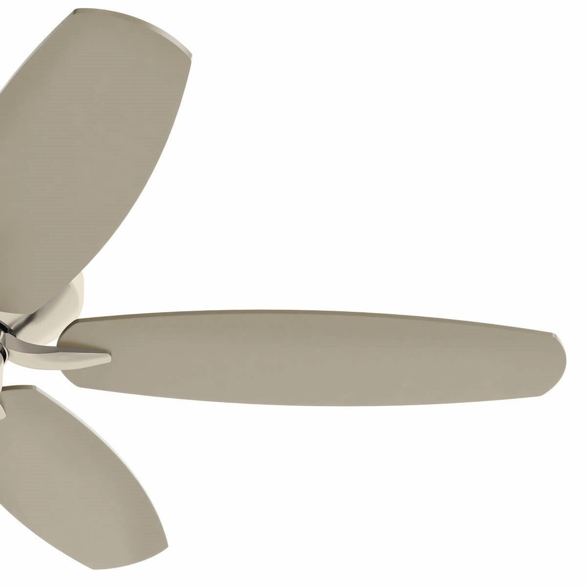 Renew 52"Ceiling Fan Brushed Stainless Steel