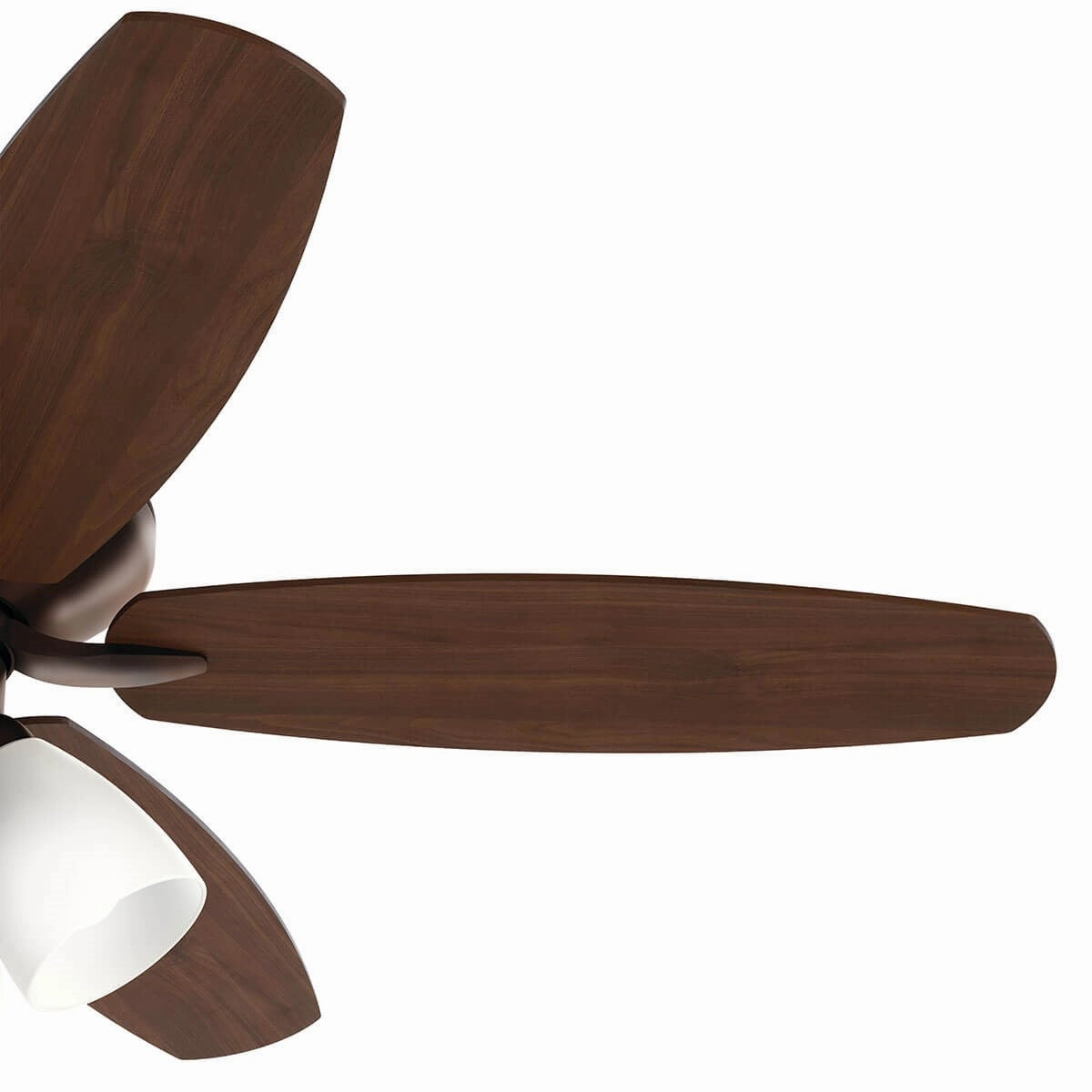 Renew Premier 52"Ceiling Fan Oil Brushed Bronze