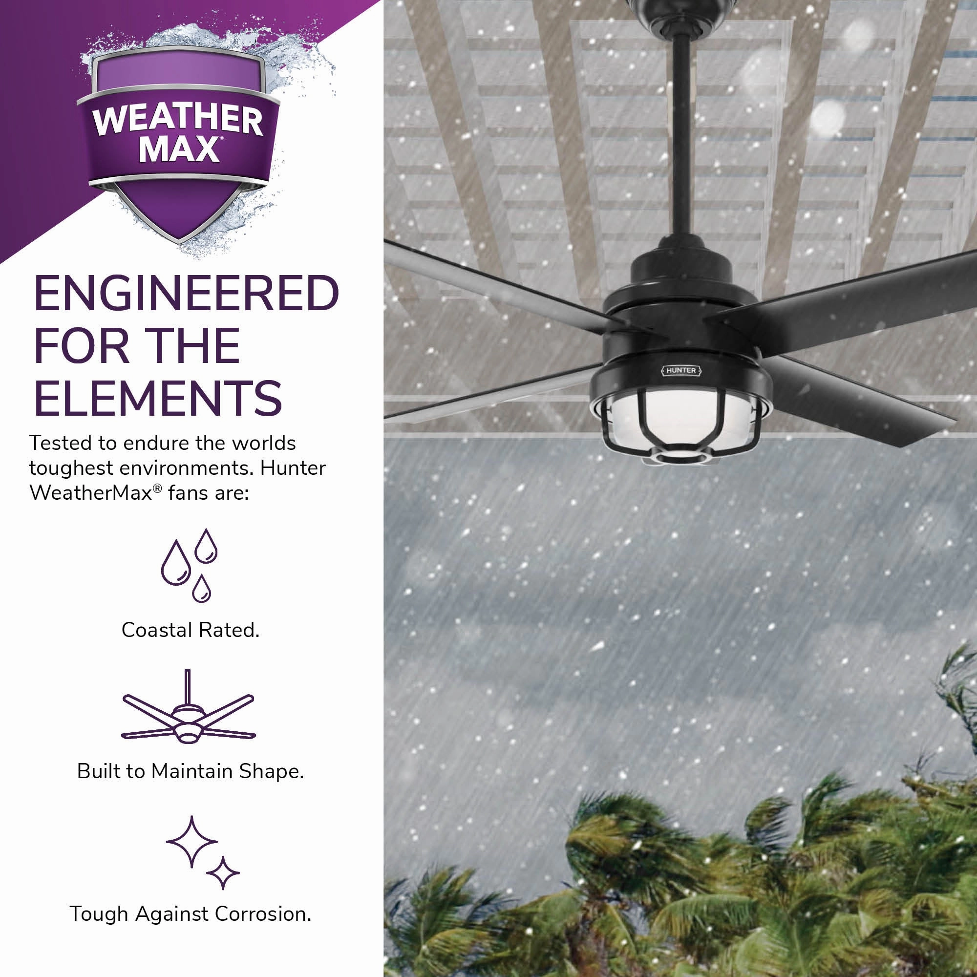 Searow 54"Ceiling Fan Matte Black