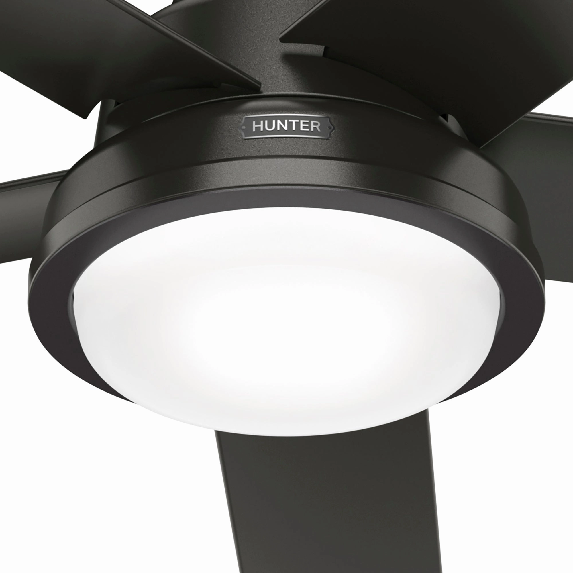 Seawall 52"Ceiling Fan Noble Bronze