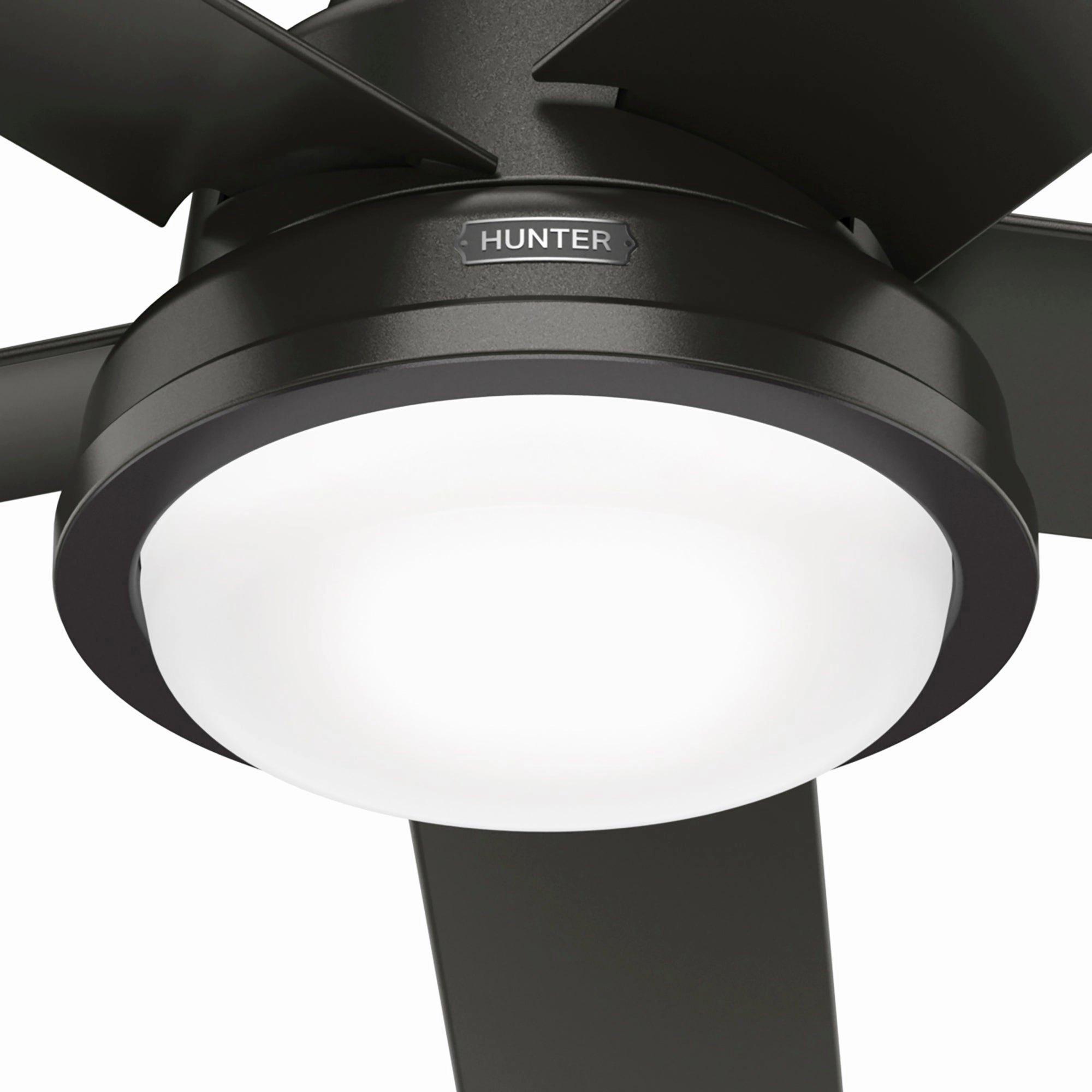 Seawall 52"Ceiling Fan Noble Bronze