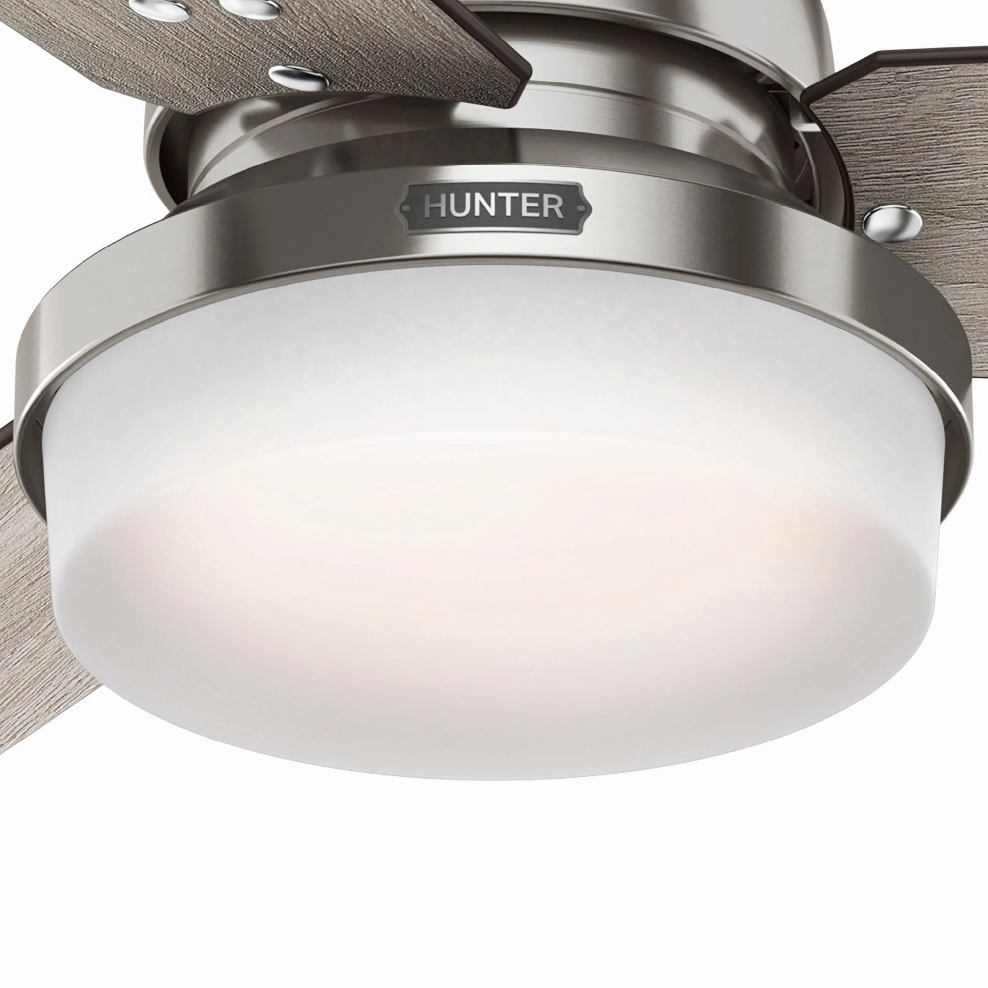 Sentinel 52"Ceiling Fan Brushed Nickel