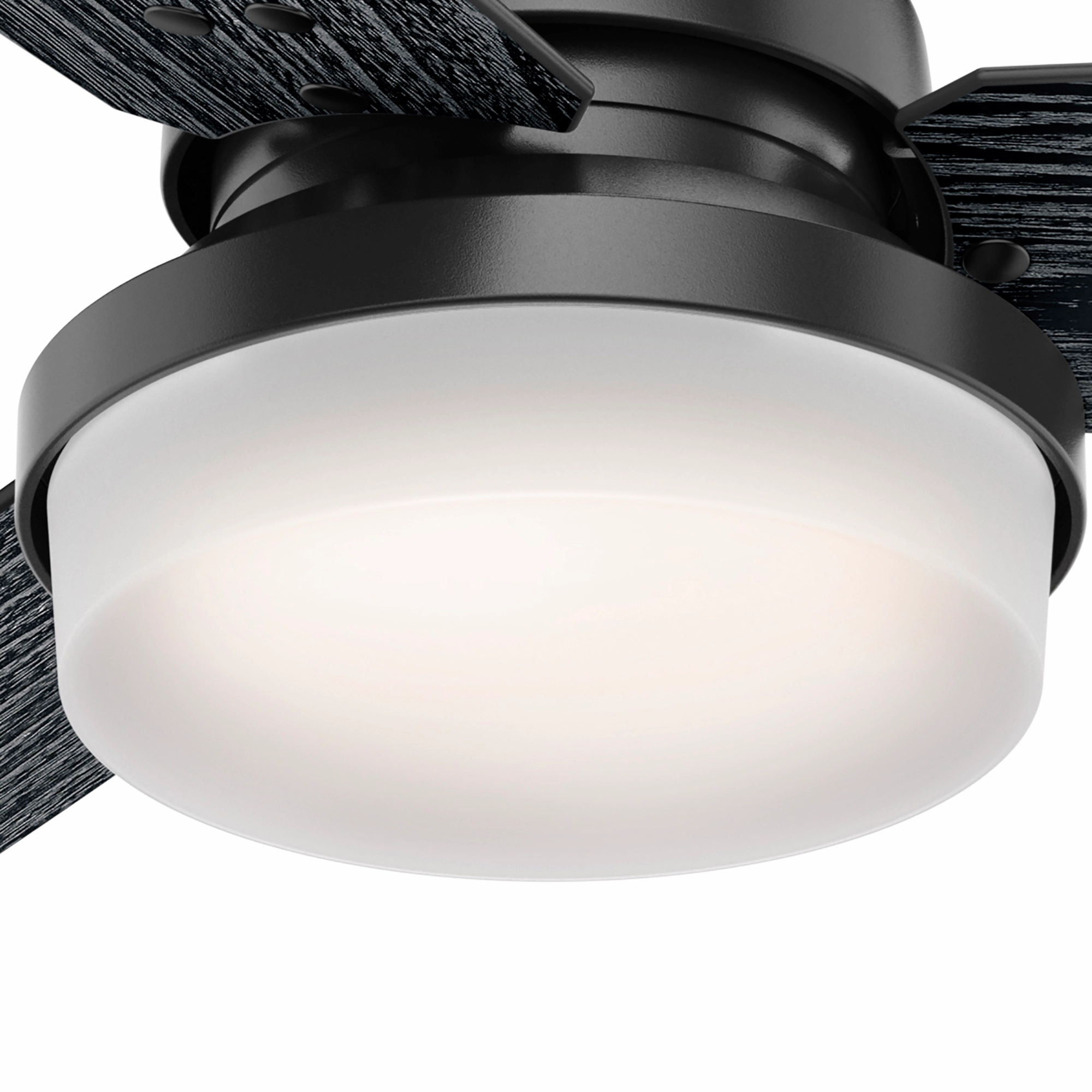 Sentinel 52"Ceiling Fan Matte Black