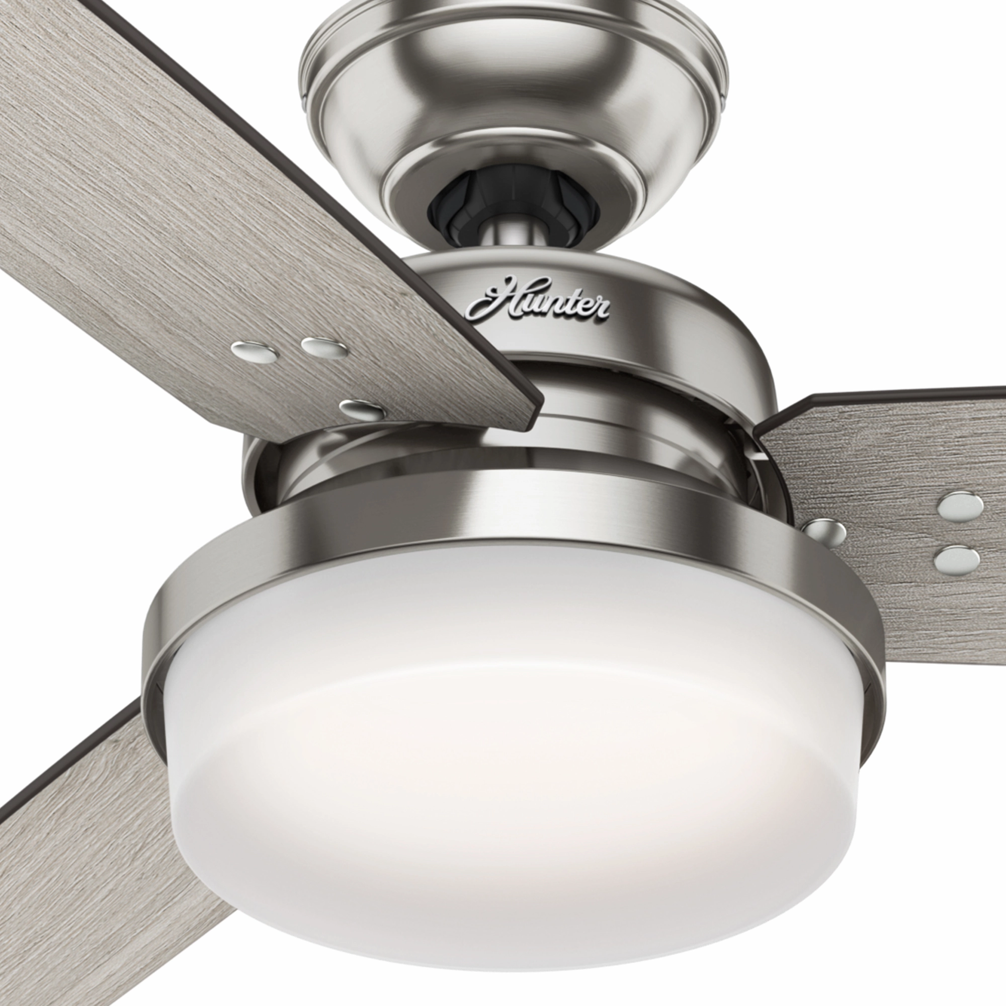 Sentinel 60"Ceiling Fan Brushed Nickel