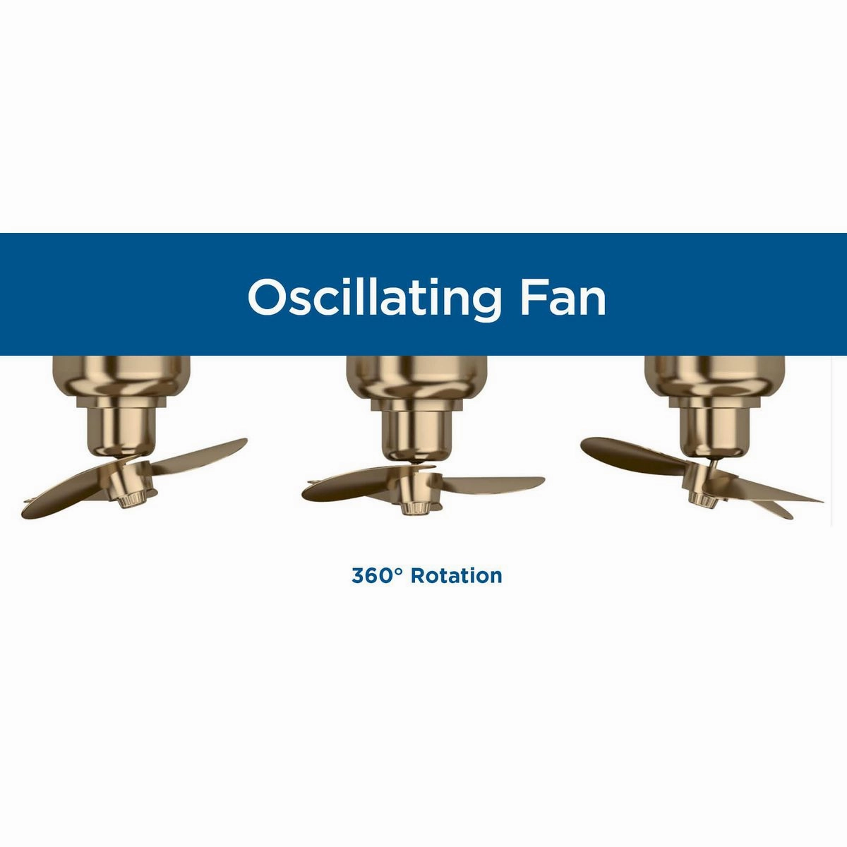 Shear Ceiling Fan Matte Black