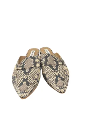 Shoes Flats By Steve Madden In Animal Print, Size: 7 steve madden