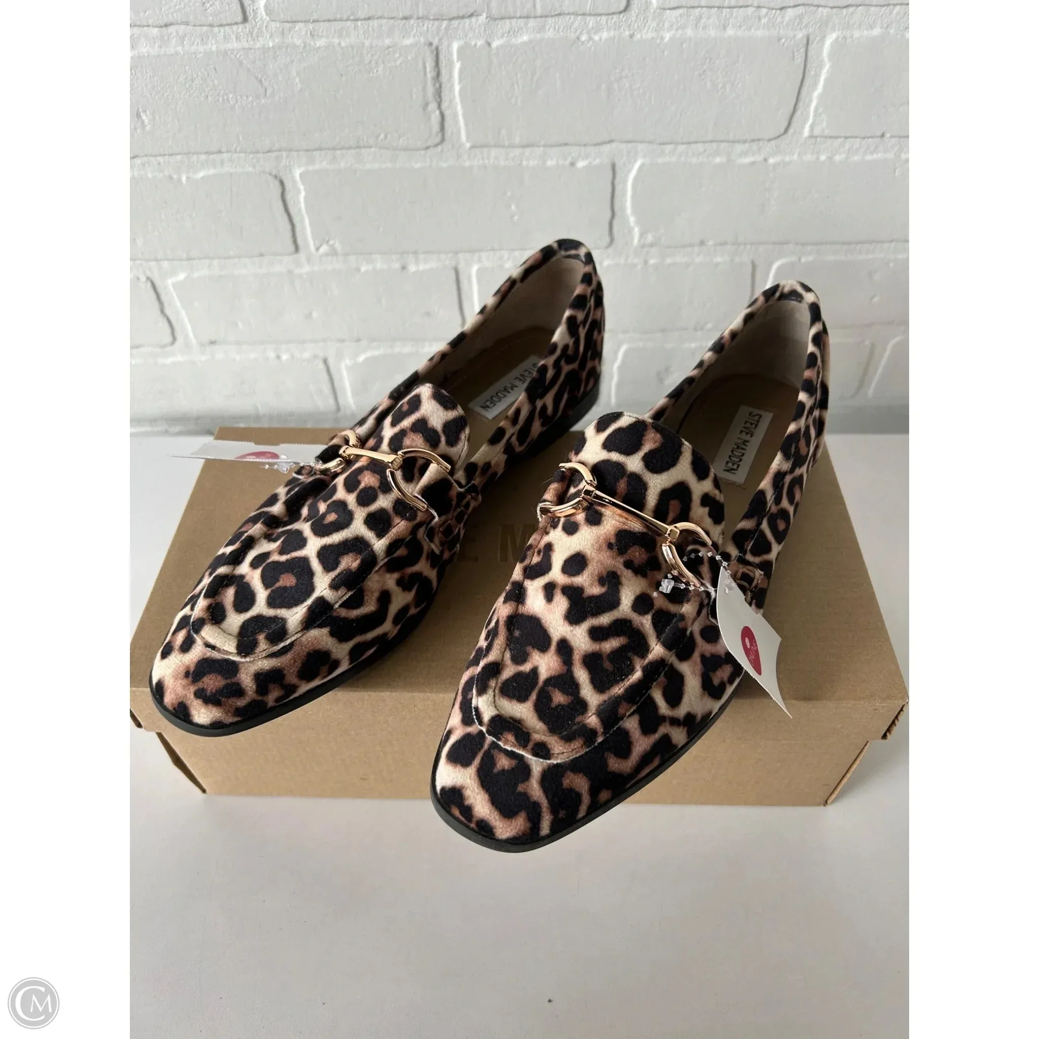 Shoes Flats By Steve Madden In Black & Cream, Size: 9.5 steve madden