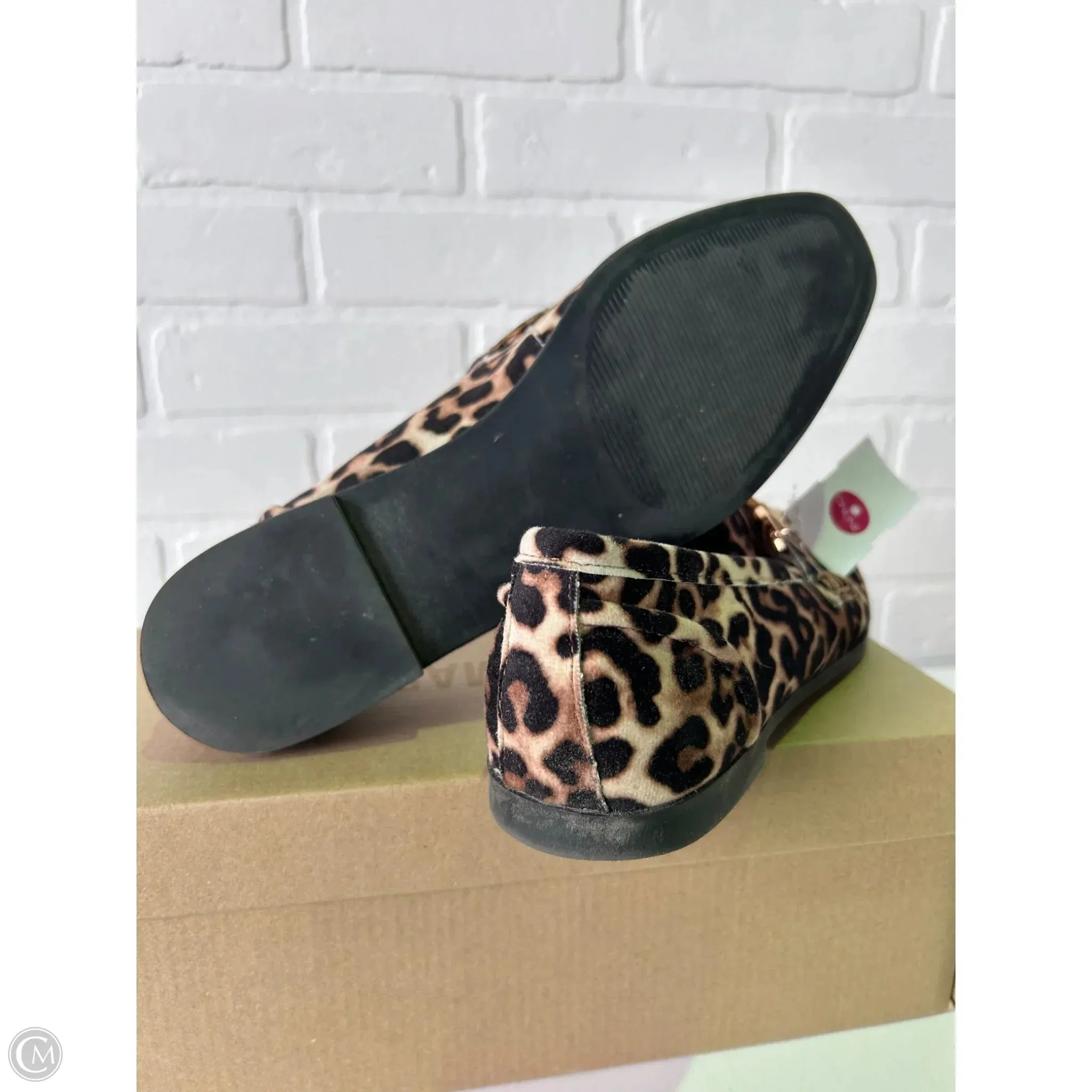 Shoes Flats By Steve Madden In Black & Cream, Size: 9.5 steve madden