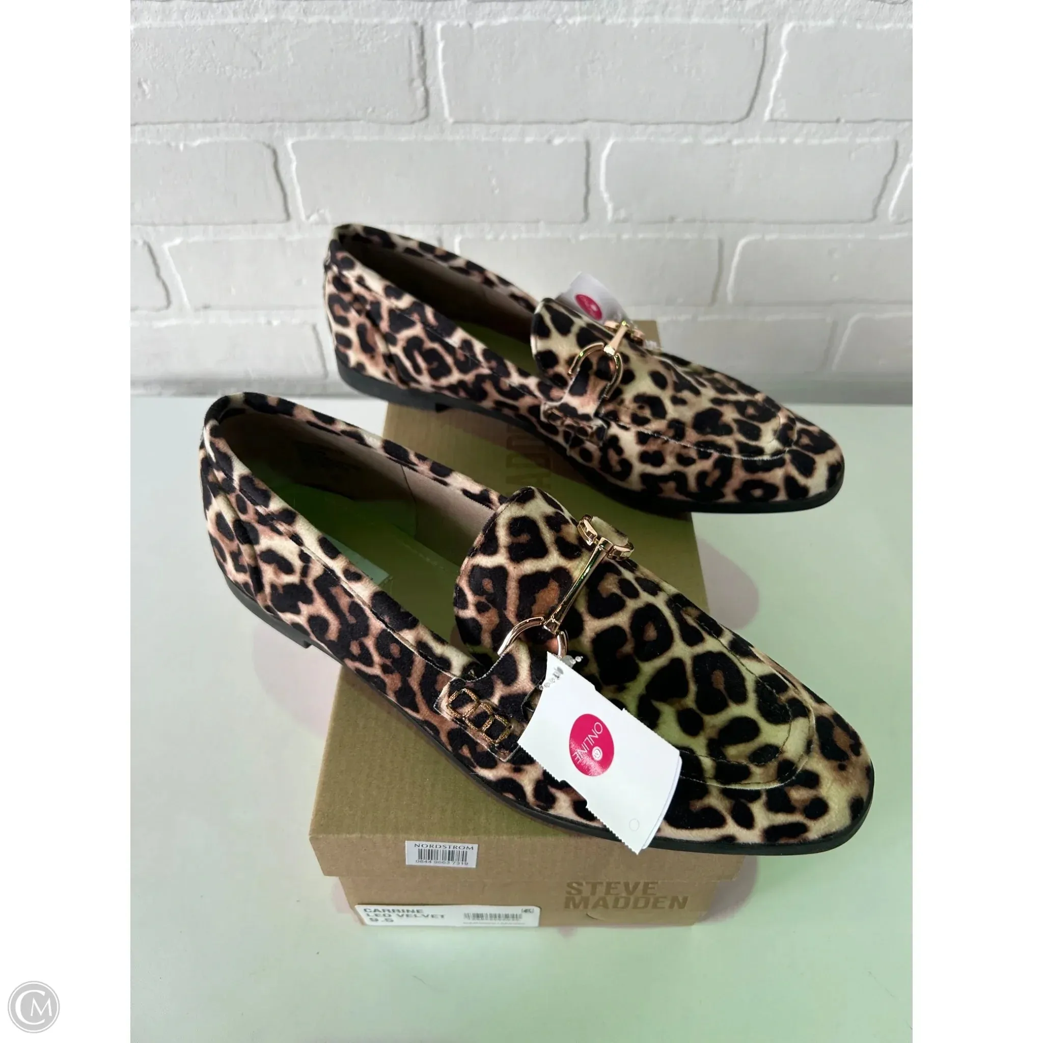 Shoes Flats By Steve Madden In Black & Cream, Size: 9.5 steve madden