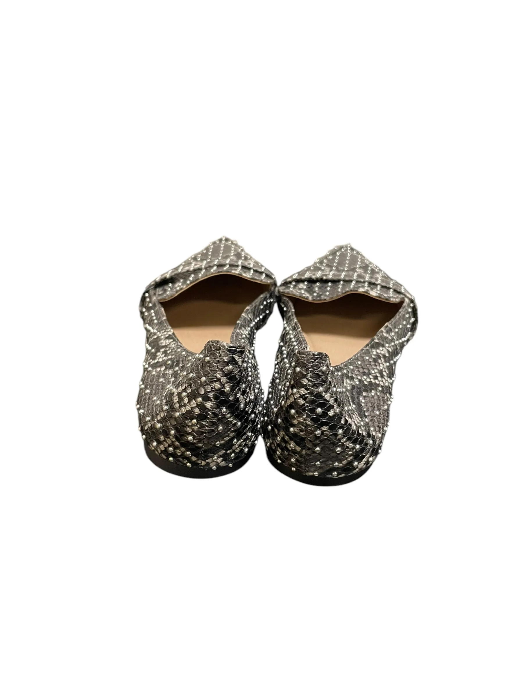 Shoes Flats By Steve Madden In Black, Size: 9.5 steve madden