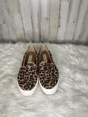 Shoes Flats By Steve Madden  Size: 6.5 steve madden