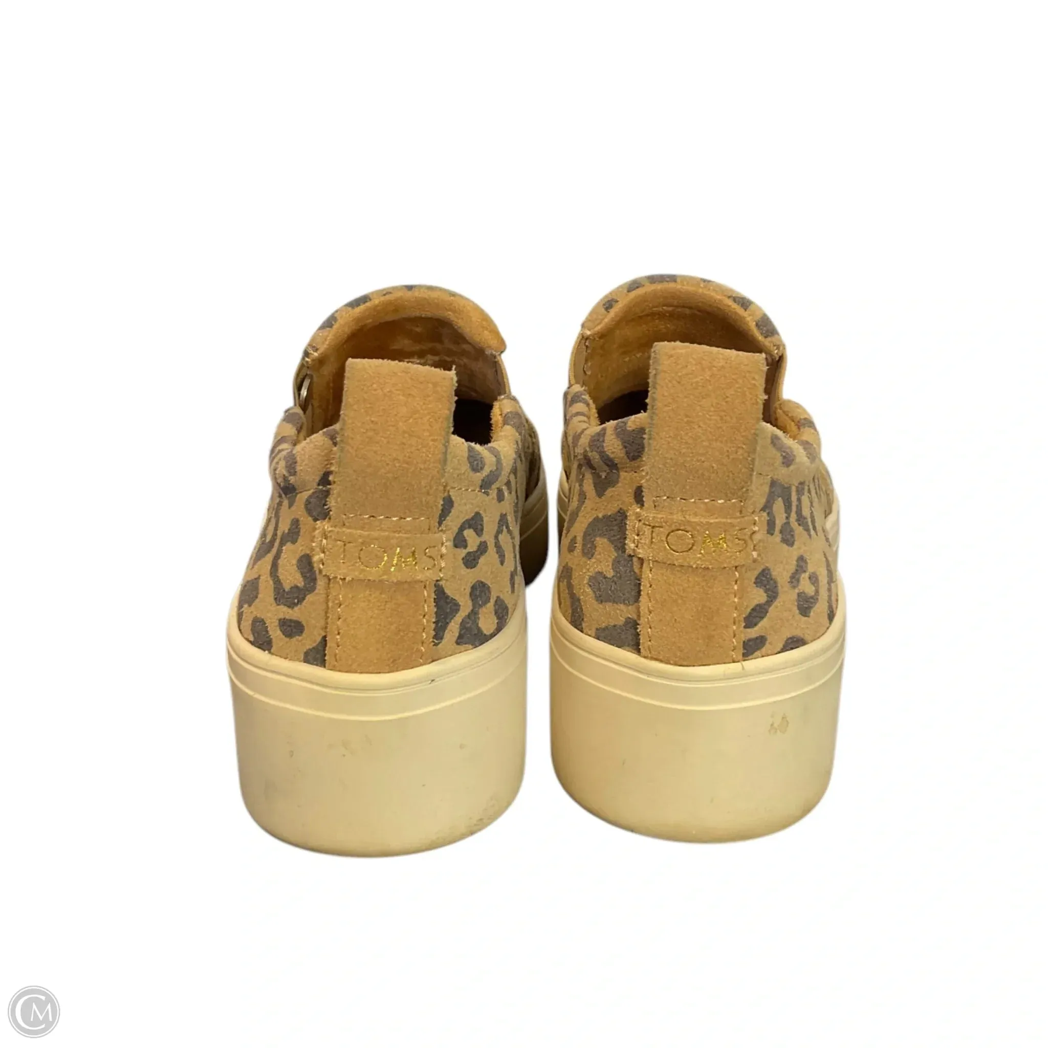 Shoes Heels Platform By Toms In Animal Print, Size: 6 toms