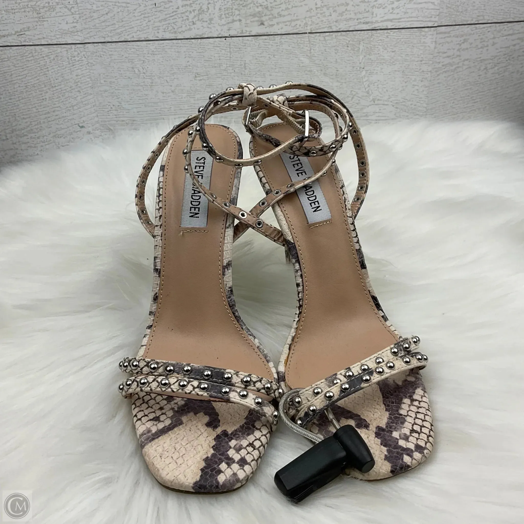 Shoes Heels Stiletto By Steve Madden In Snakeskin Print, Size: 7 steve madden
