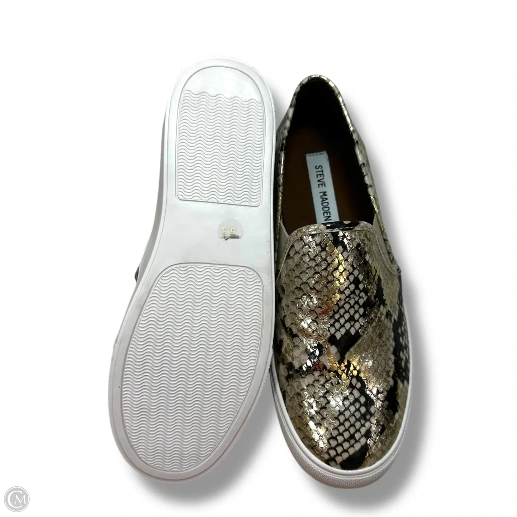 Shoes Sneakers By Steve Madden In Animal Print, Size: 8.5 steve madden