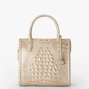 Small Caroline Bags Brahmin Satchels