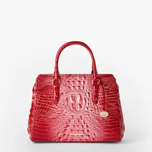 Small Finley Bags Brahmin Satchels