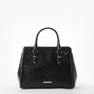 Small Finley Bags Brahmin Totes Carryalls