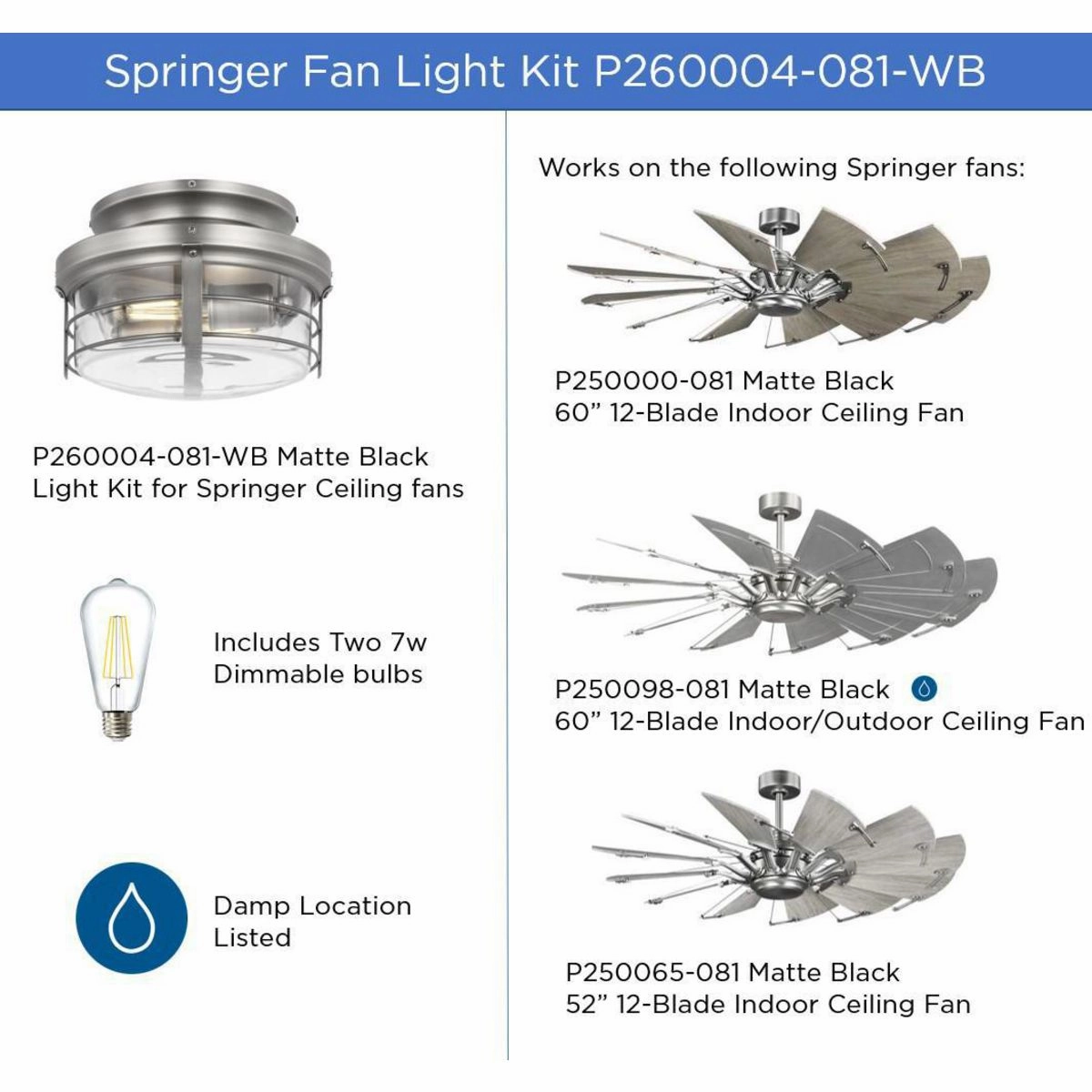 Springer Ii Two Light Fan Light Kit Antique Nickel