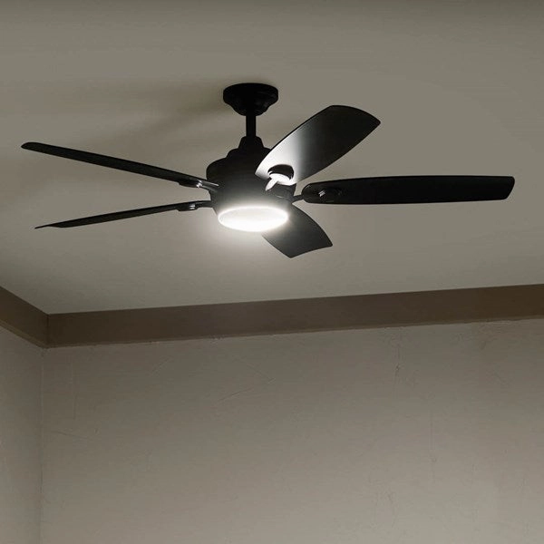 Tranquil 56"Ceiling Fan Satin Black