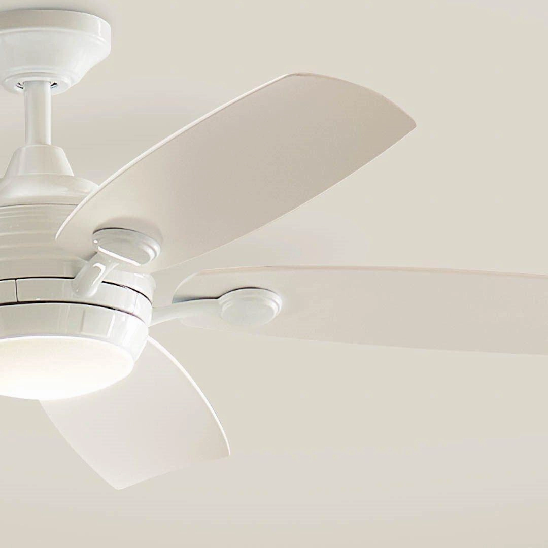 Tranquil 56" Ceiling Fan