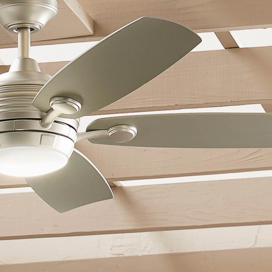 Tranquil 56" Weather  Outdoor Ceiling Fan