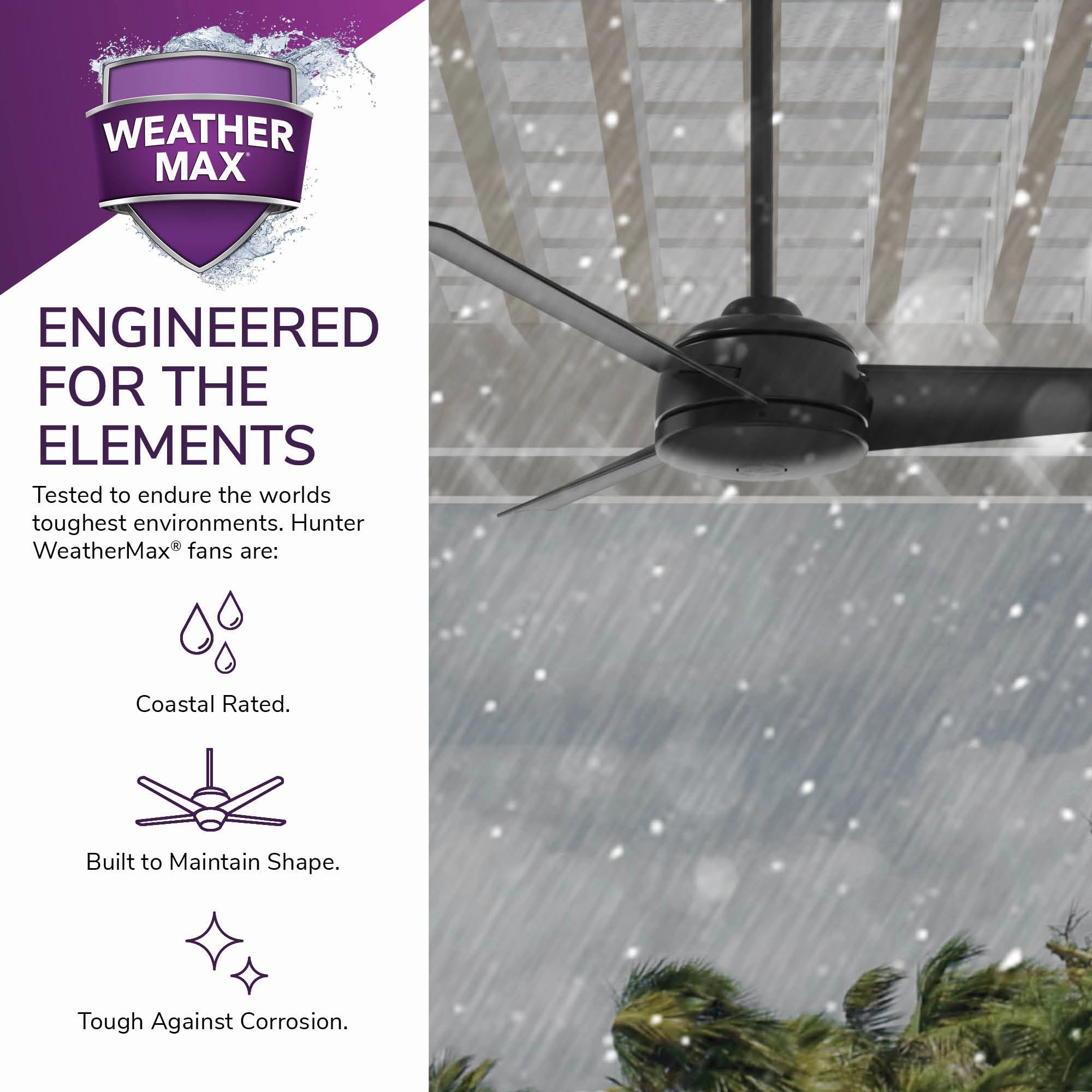Trimaran 52"Ceiling Fan Matte Black
