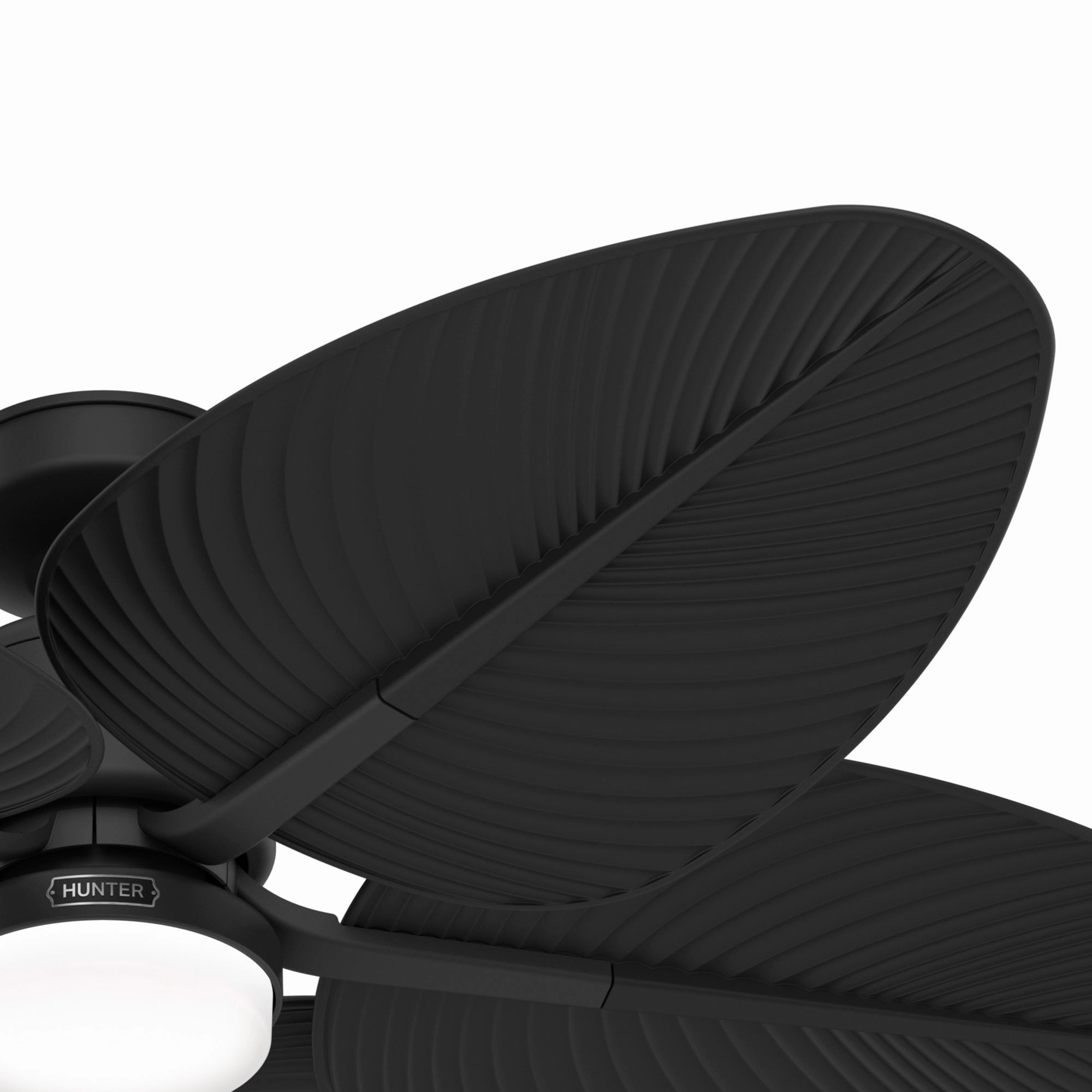 Tropic View 52"Ceiling Fan Matte Black