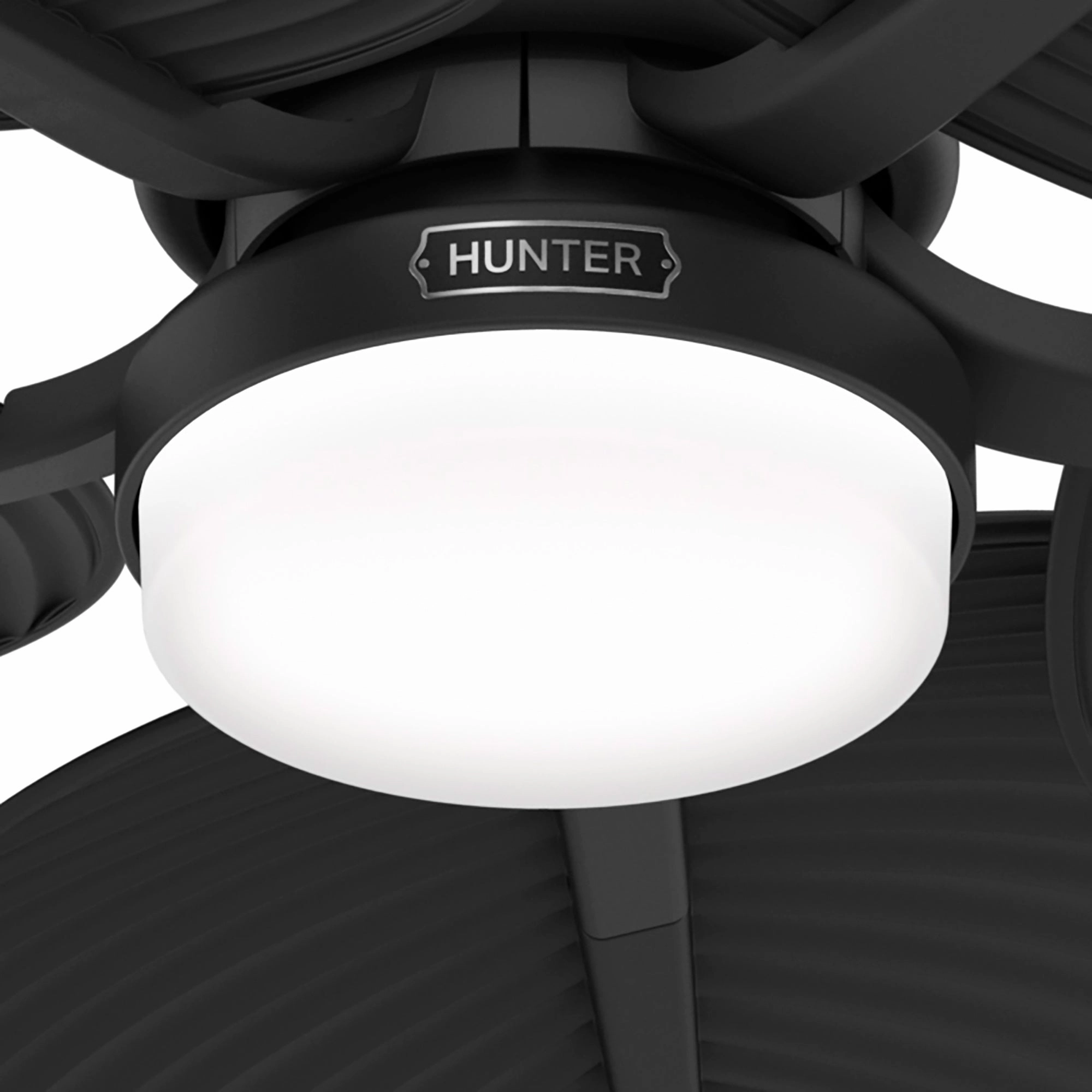Tropic View 52"Ceiling Fan Matte Black