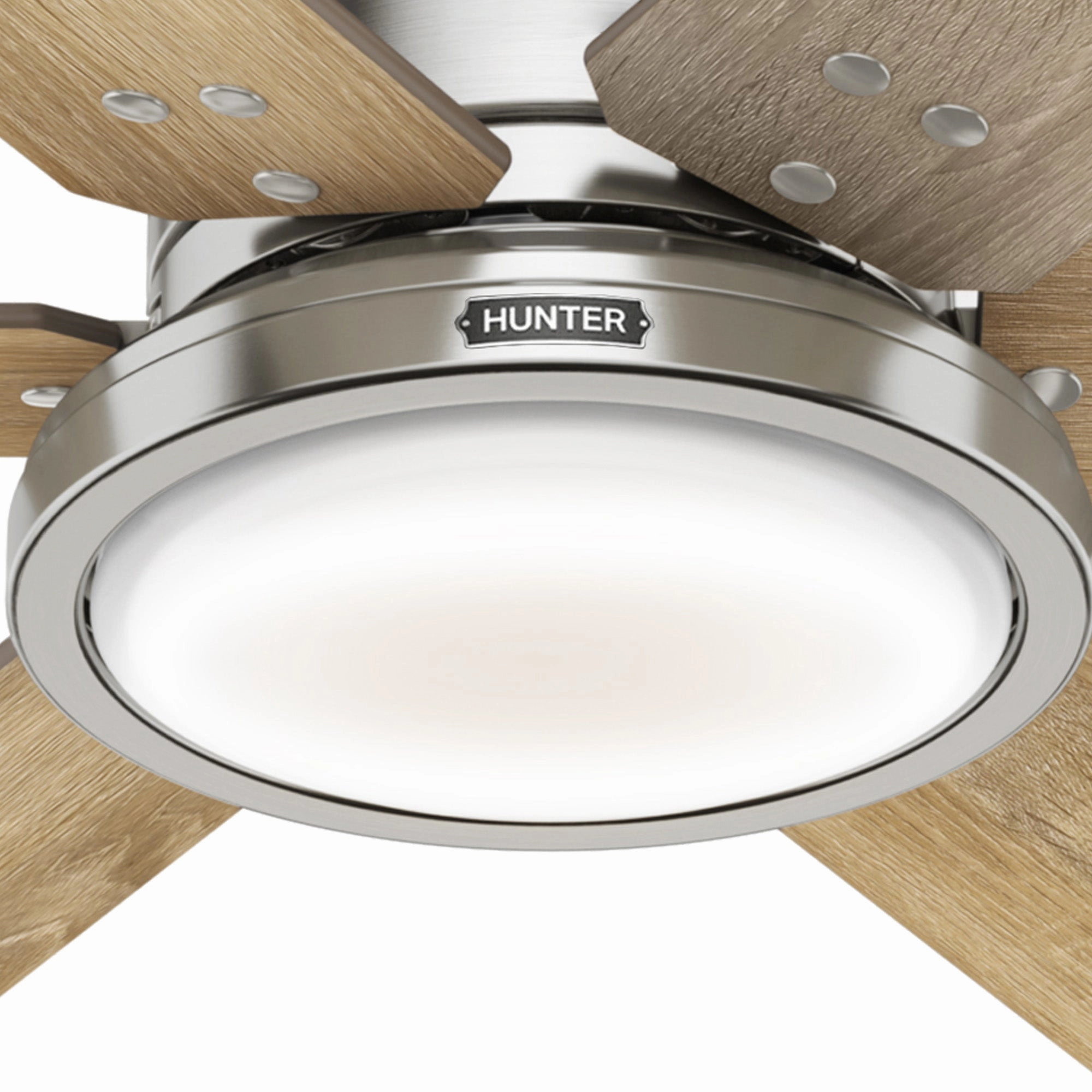 Warrant 60"Ceiling Fan Brushed Nickel