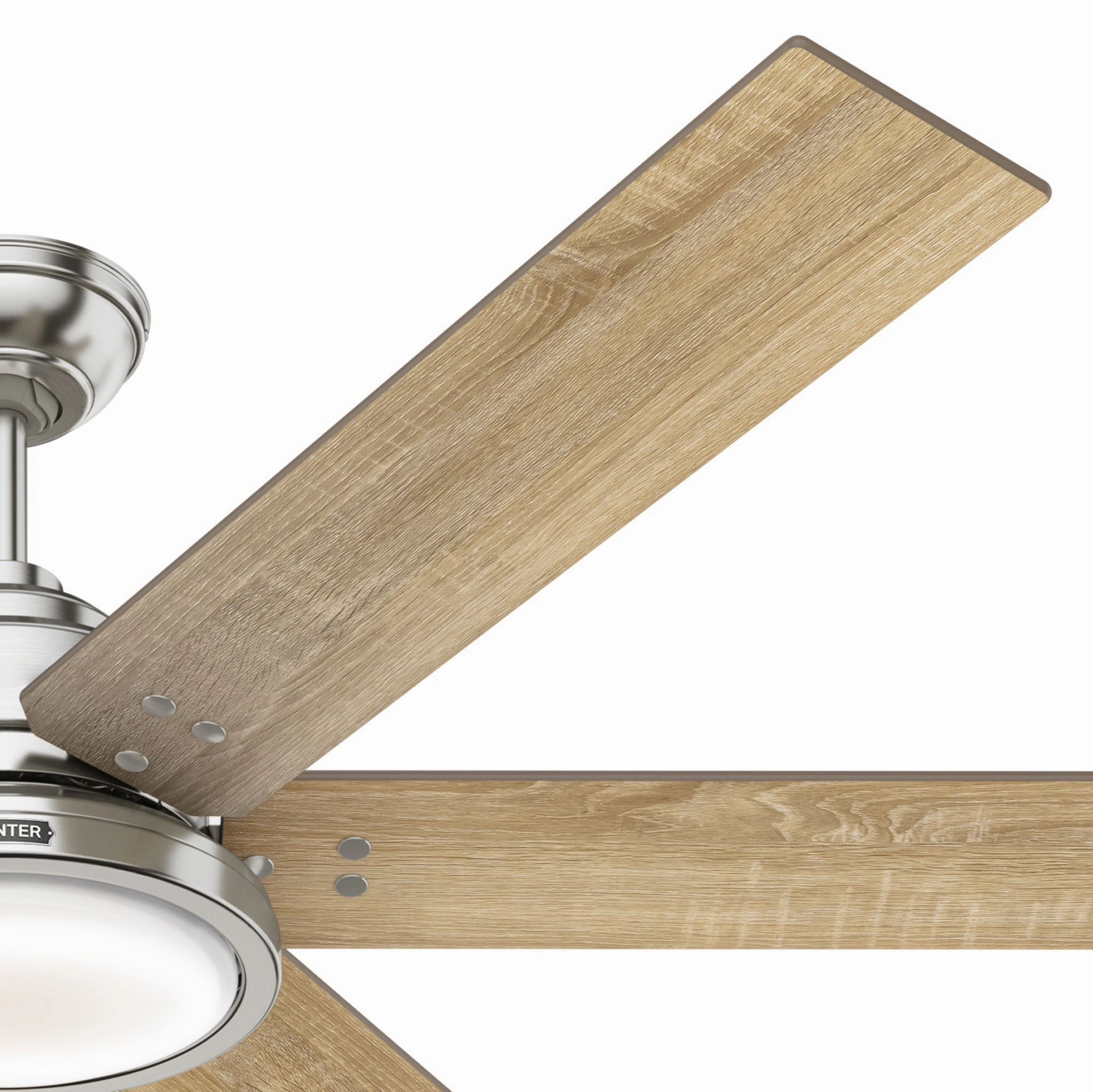 Warrant 60"Ceiling Fan Brushed Nickel