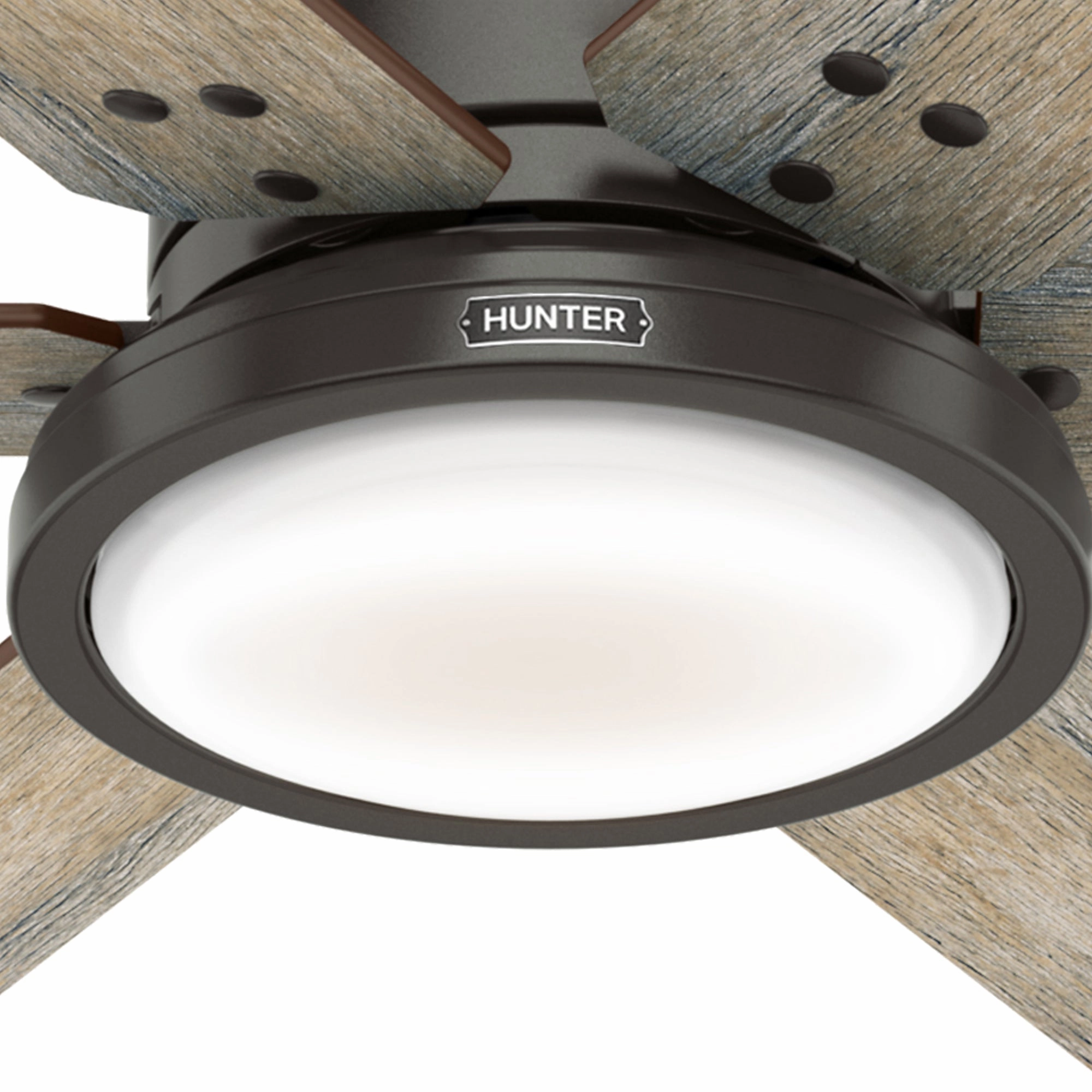 Warrant 60"Ceiling Fan Noble Bronze