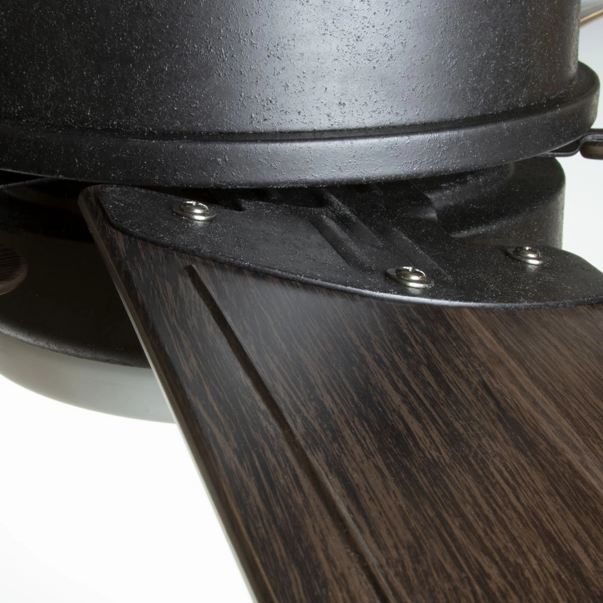 Whirl 60" Ceiling Fan Forged Black