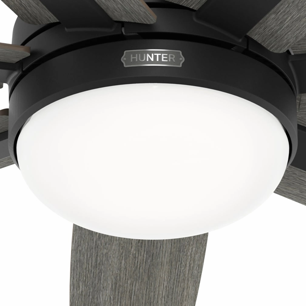 Wilder 60"Ceiling Fan Matte Black