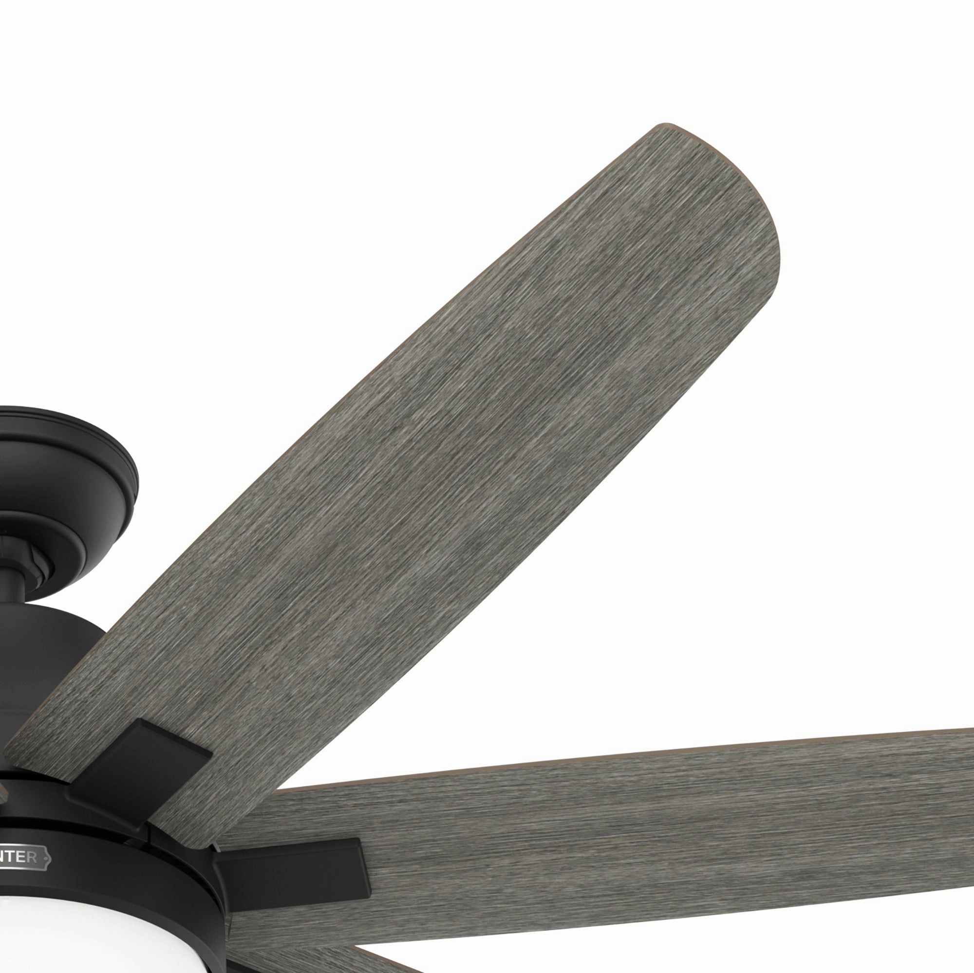 Wilder 60"Ceiling Fan Matte Black