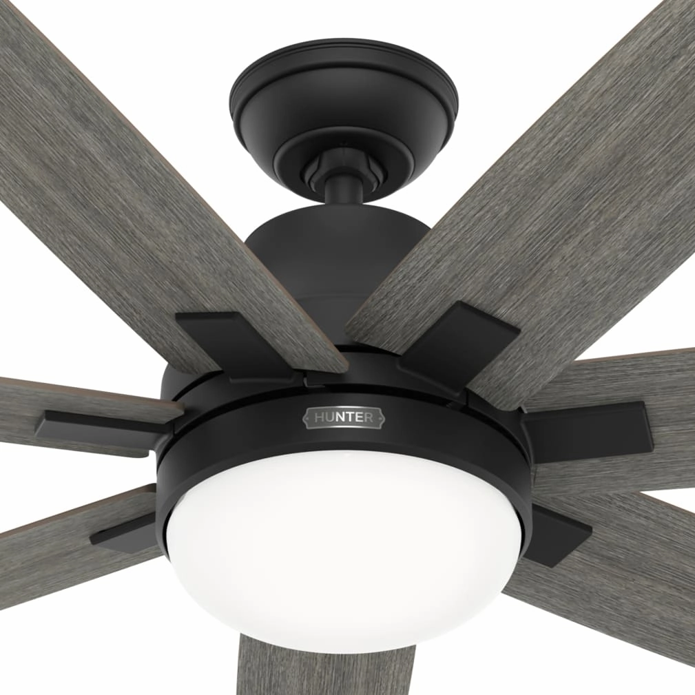 Wilder 60"Ceiling Fan Matte Black