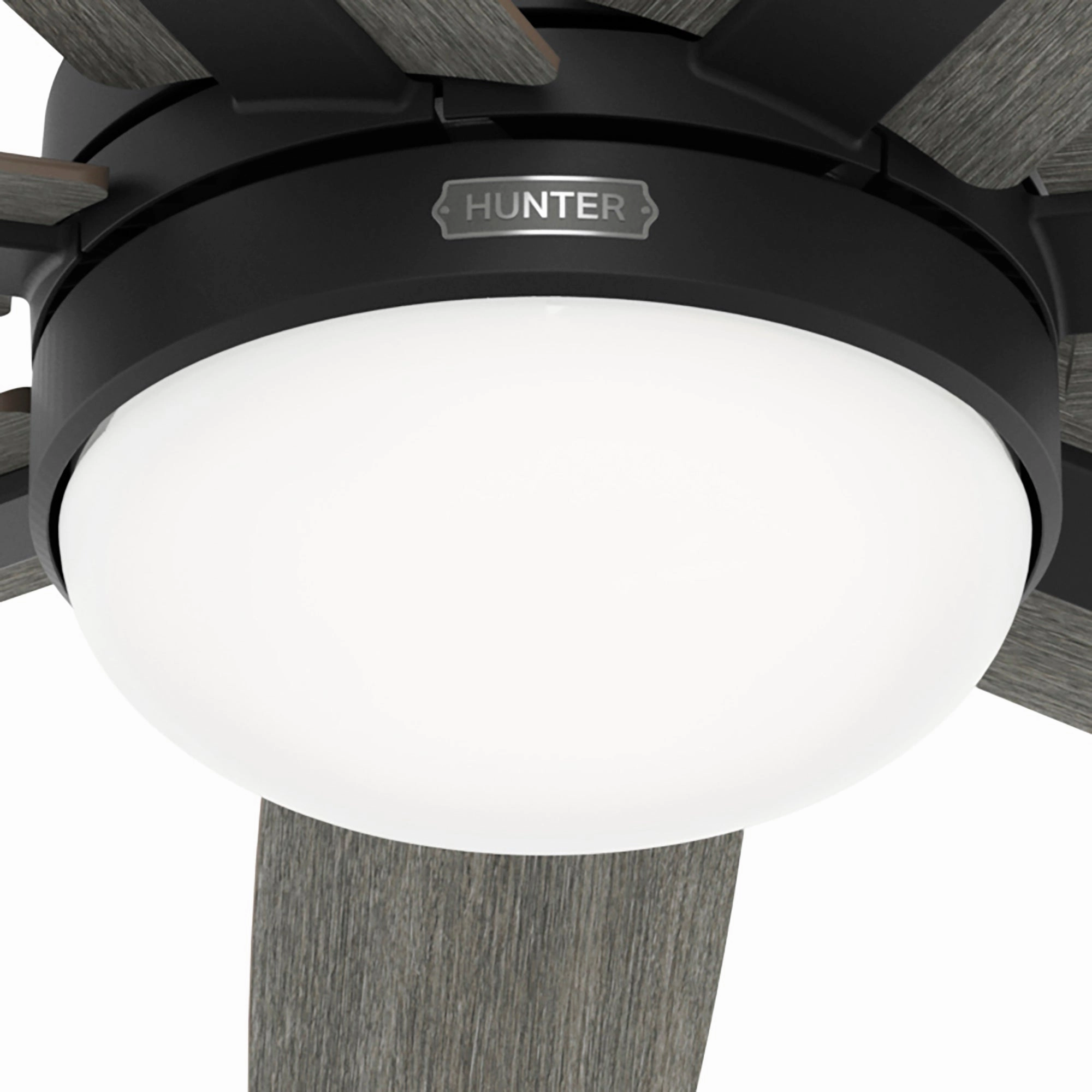 Wilder 60"Ceiling Fan Matte Black