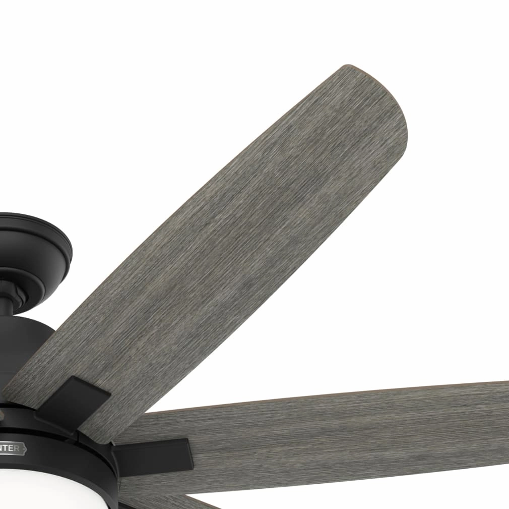 Wilder 60"Ceiling Fan Matte Black