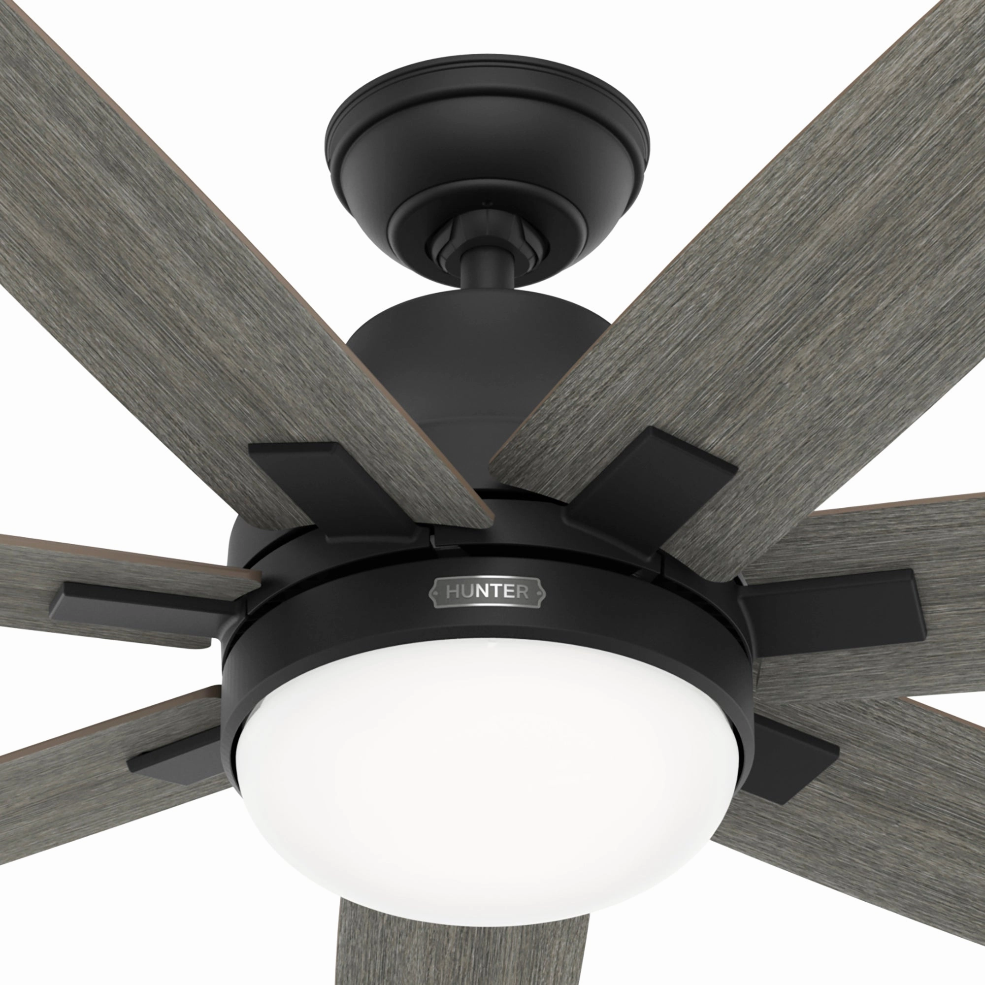 Wilder 60"Ceiling Fan Matte Black