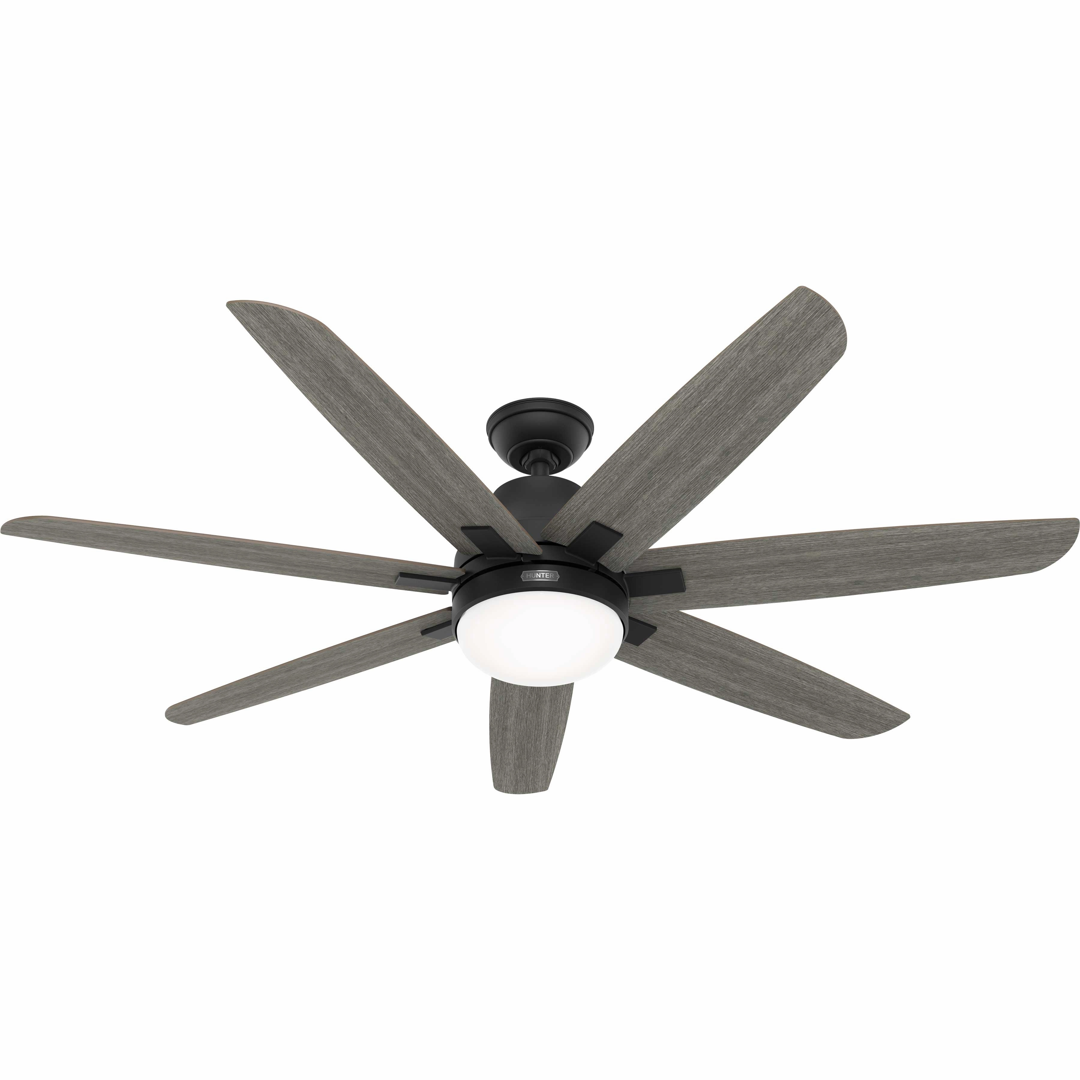 Wilder 60"Ceiling Fan Matte Black