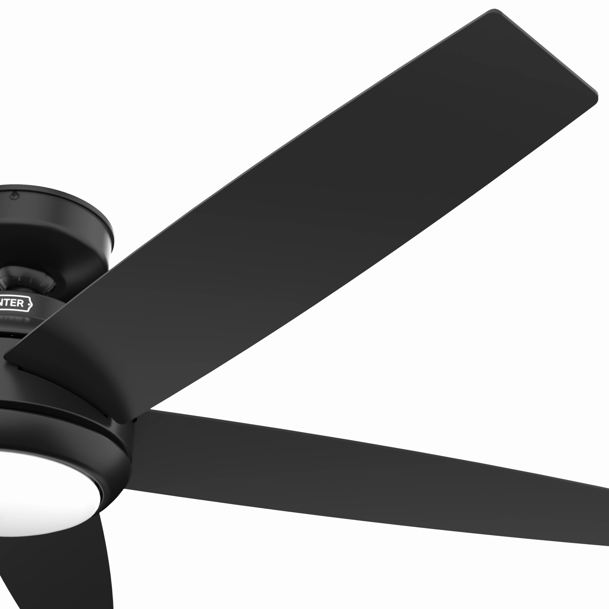 Zayden 52"Ceiling Fan Matte Black