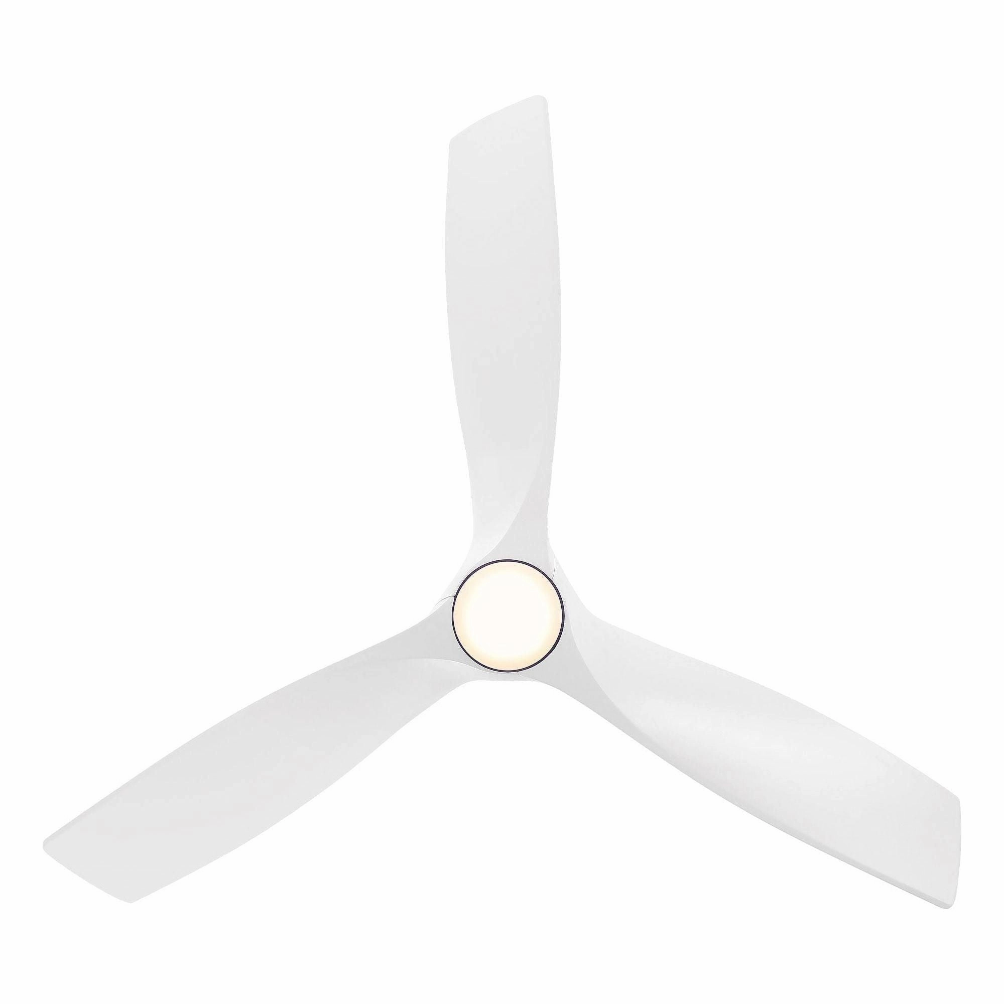 Zephyr Indoor/Outdoor 3-Blade 62" Smart Ceiling Fan with LED Light Kit and Remote Control